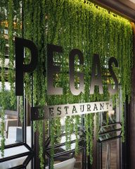 Оборудование для ресторана  " "Pegas RT SRL" Одесса